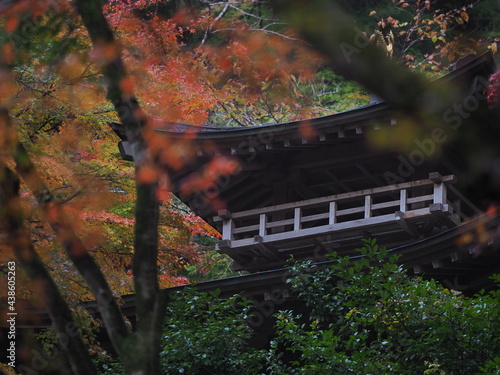 紅葉の映えるお寺