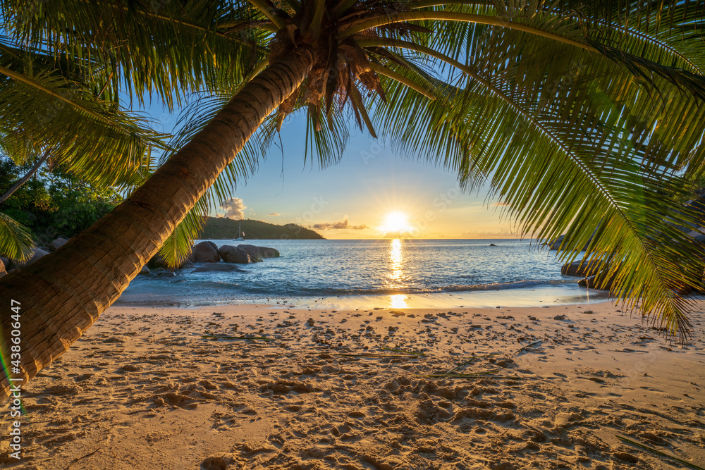 sunset at tropical beach anse lazio on praslin on the seychelles - obrazy, fototapety, plakaty 