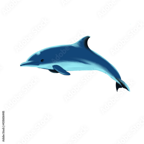 digital drawing of a sea animal - jumping dolphin
