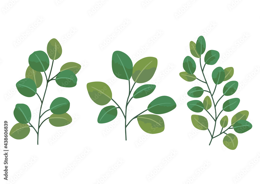 葉っぱのイラスト素材セット