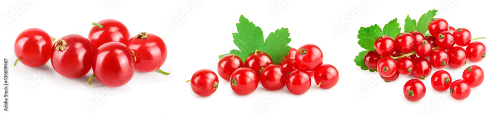 Red currant berries with leaf isolated on white background. Set or collection Red currant berries with leaf isolated on white background. Set or collection