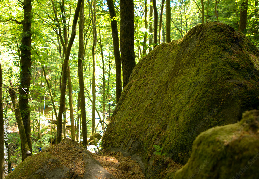 Magical hiking trail through the rhineland palatinate forest with granite boulders lying on the forest floor. Tourism and hike concept. Trippstadt, Rhineland-Palatinate, Germany Magical hiking trail through the rhineland palatinate forest with granite boulders lying on the forest floor. Tourism and hike concept. Trippstadt, Rhineland-Palatinate, Germany