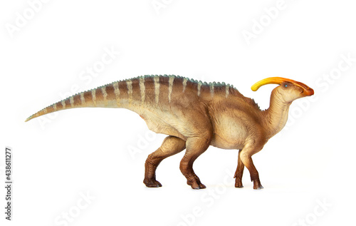 Fototapeta Naklejka Na Ścianę i Meble -  Parasaurolophus Living dinosaur In Late Cretaceous. Dinosaur herbivores have crest on their heads. isolated on white background.