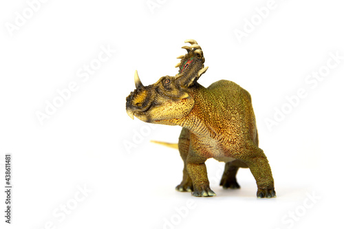 Sinoceratops herbivores dinosaur living in Late Cretaceous. isolated on white background.
