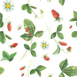 watercolor seamless pattern of wild strawberry leaves, berries and flowers