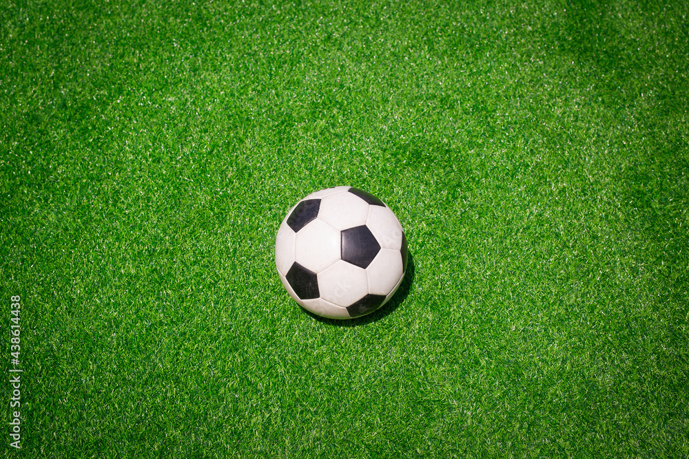 European Football, Soccer ball on green grass