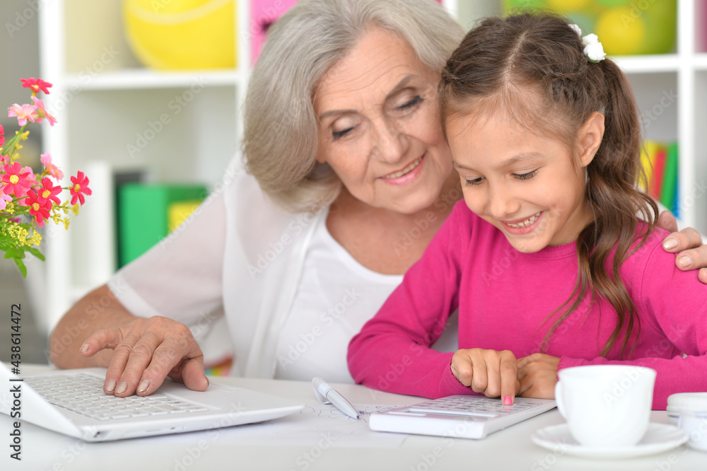 portrait of happy grandmother and granddaughter using laptop portrait of happy grandmother and granddaughter using laptop