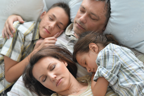 Portrait of sleeping brother, sister and father in room