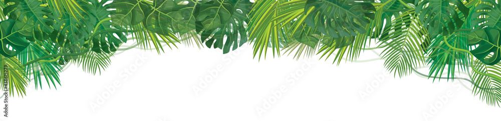 Vector green, tropical leaves border, isolated.