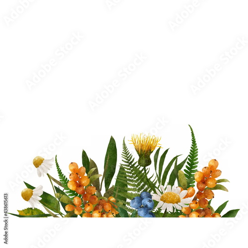 Floral border with green leaves, daisies and orange berries. Summer and autumn background. Wildlife set, botanical texture. Can be used for a greetings, invitations, posters.