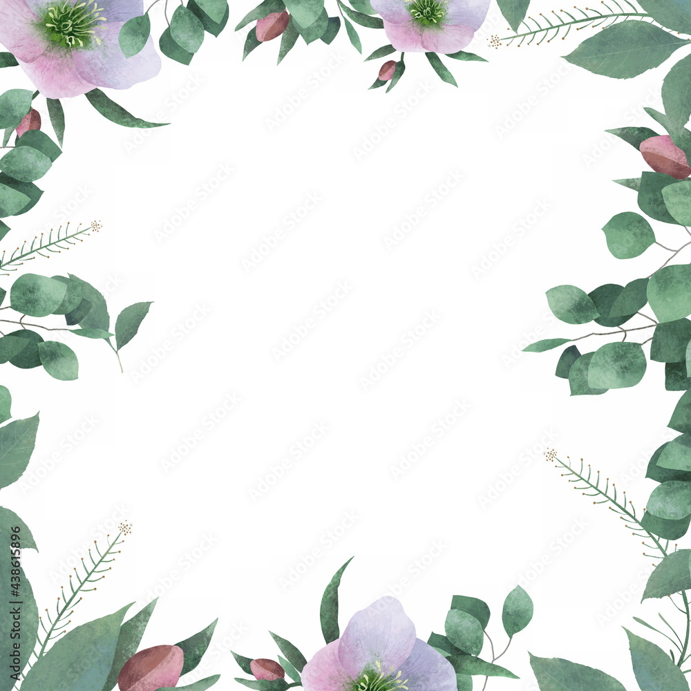 Floral frame with flowers hellebore (winter rose, Christmas rose, lenten hellebore) in delicate, pastel colors. Spring illustration with a flowers isolated on a white background. Botanical template