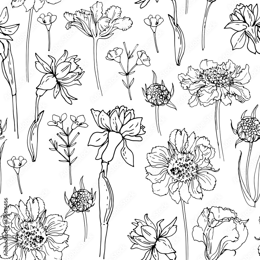 Flower pattern Vector sketch of flowers by line on a white background. Decor