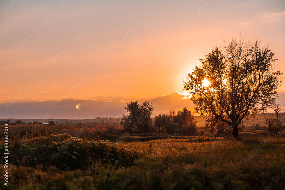 Sunset in country. Rural landscapes.