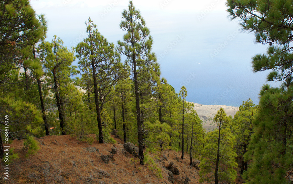 Fototapeta premium Landscapes of El Hierro.Canary islands.Spain.