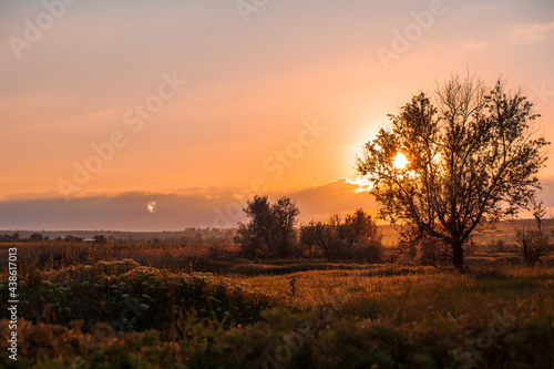Sunset in country. Rural landscapes.