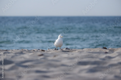 Mode am Strand