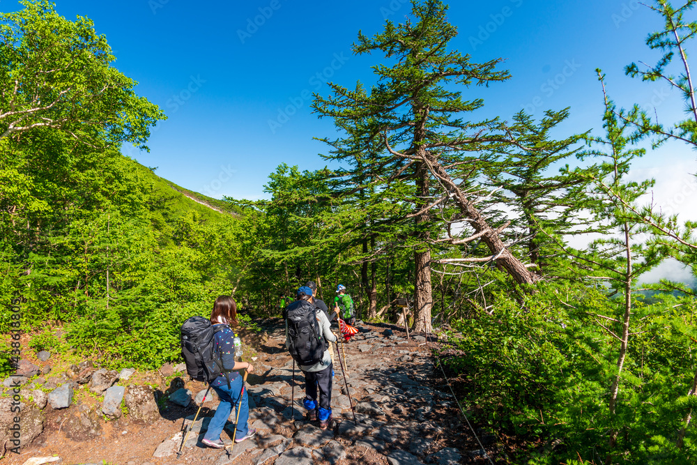 Obraz premium Fuji Mountain in Japan