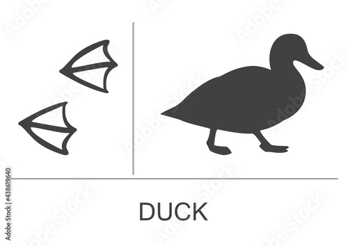 Duck silhouette and footprints. Vector illustration.