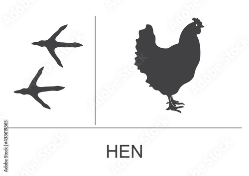 Hen silhouette and footprints. Vector illustration.