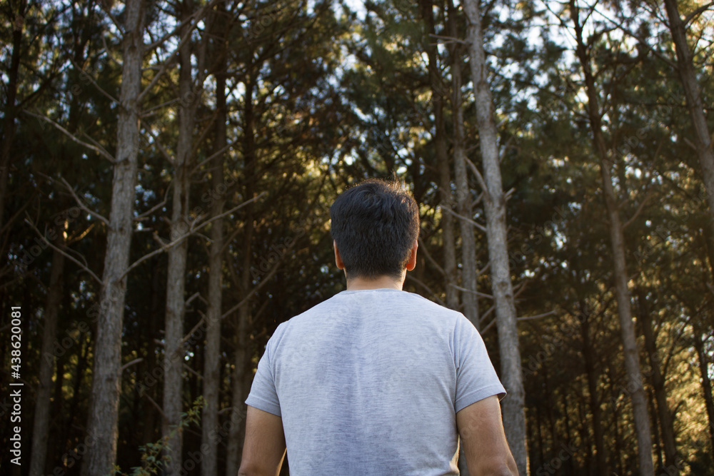 Foto de Persona de espalda mirando el Bosque, naturaleza, paisaje, fondo de  pantalla para una blog do Stock