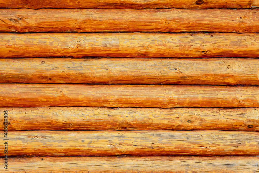 texture background. the wall of the building is folded from logs. cylindrical logs covered with anti-rotting composition. texture background. the wall of the building is folded from logs. cylindrical logs covered with anti-rotting composition.