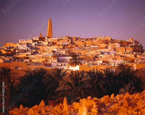 north africa, algeria, m'zab, ghardaia, africa, sahara, oasis region, mzab, ghardaïa, village view, town, main town, dwellings, date palms, palm trees, unesco world heritage site, valley of m'zab, 