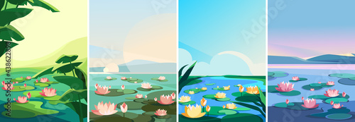Collection of landscapes with blooming lotuses. Beautiful natural sceneries.