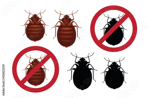 Warning stop signs with colored detailed image of an bedbug and its bla
