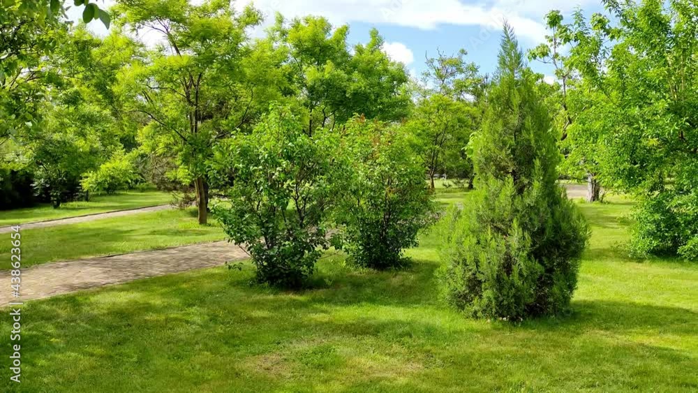 Camera pans slowly in the park along the trees. High quality 4k footage Camera pans slowly in the park along the trees. High quality 4k footage