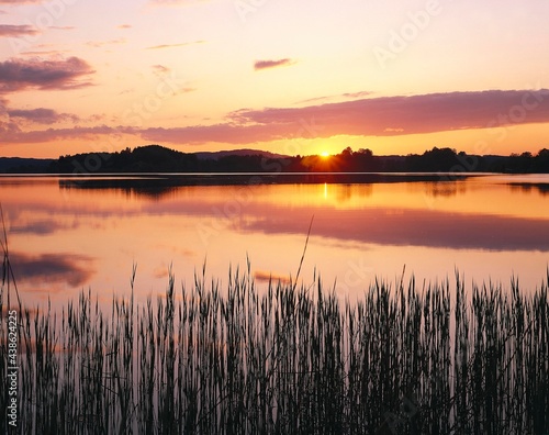 lake  reed  sunset  evening  evening mood  nature  calm  silence  solitude  sun  horizon  picturesque  mood  romantic  deserted  water  shore  lakeside  