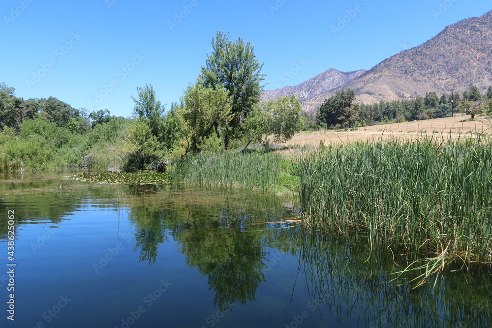 Mountain Lake in California Cattails in the Right Frame and a Beautiful Reflection