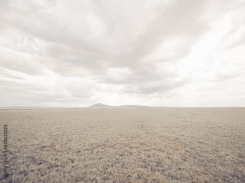Naklejka premium Beautiful meadow field with fresh grass and yellow dandelion flowers in nature against a blurry blue sky with clouds. Summer spring natural landscape.