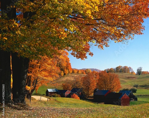 Fotografija usa, vermont, indian summer, jenne farm, america, new england, landscape, autumn
