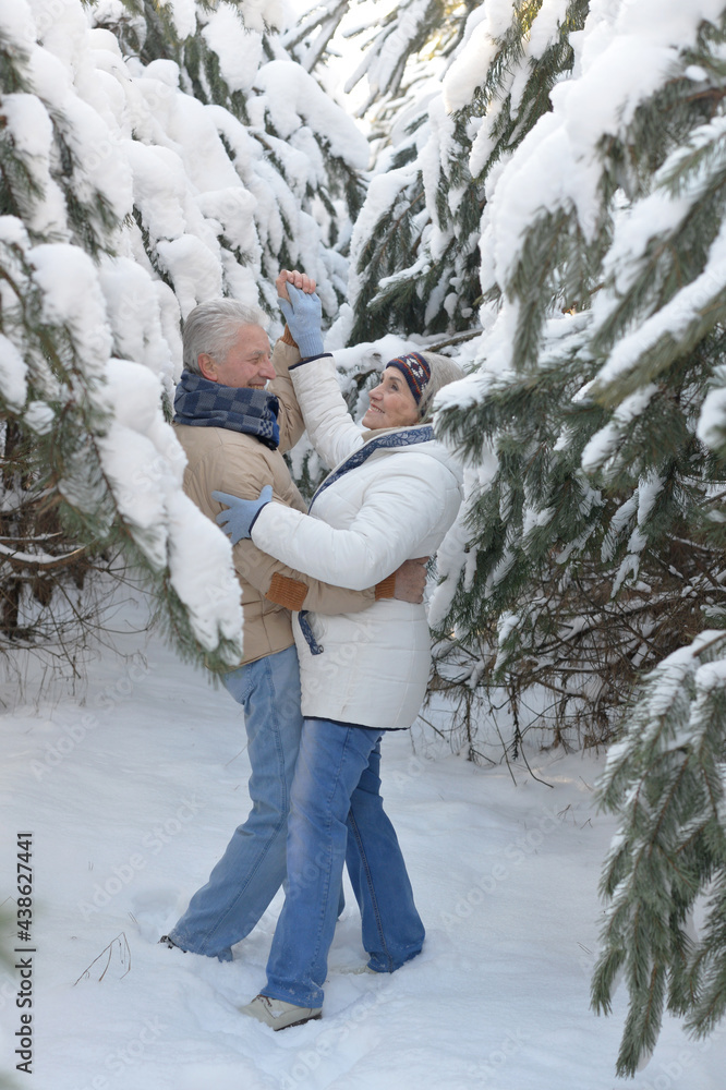 Happy senior couple dancing   at snowy winter park