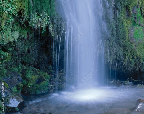 new zealand  north island  mt.taranaki  national park  dawson falls  waterfall  water  nature  rocks  freshness  moss  mossy  purity  