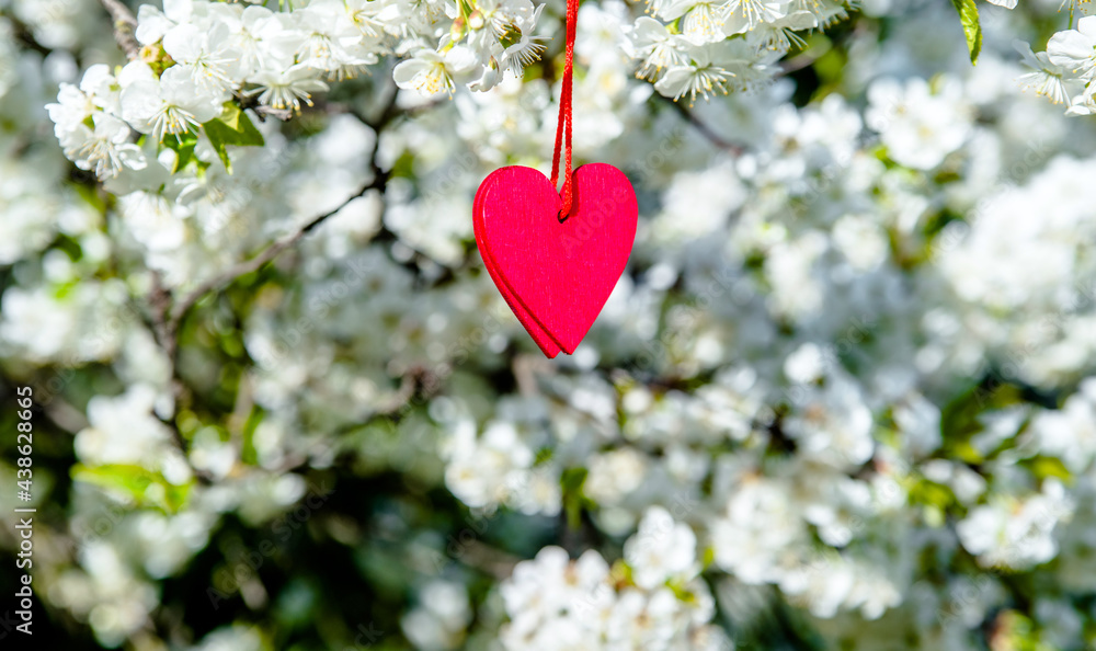 A symbol of love among on a cherry blossom branch
A symbol of love among on a cherry blossom branch
