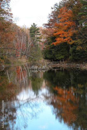 Fototapeta Naklejka Na Ścianę i Meble -  Fall colors reflecting in calm Ontario pond
