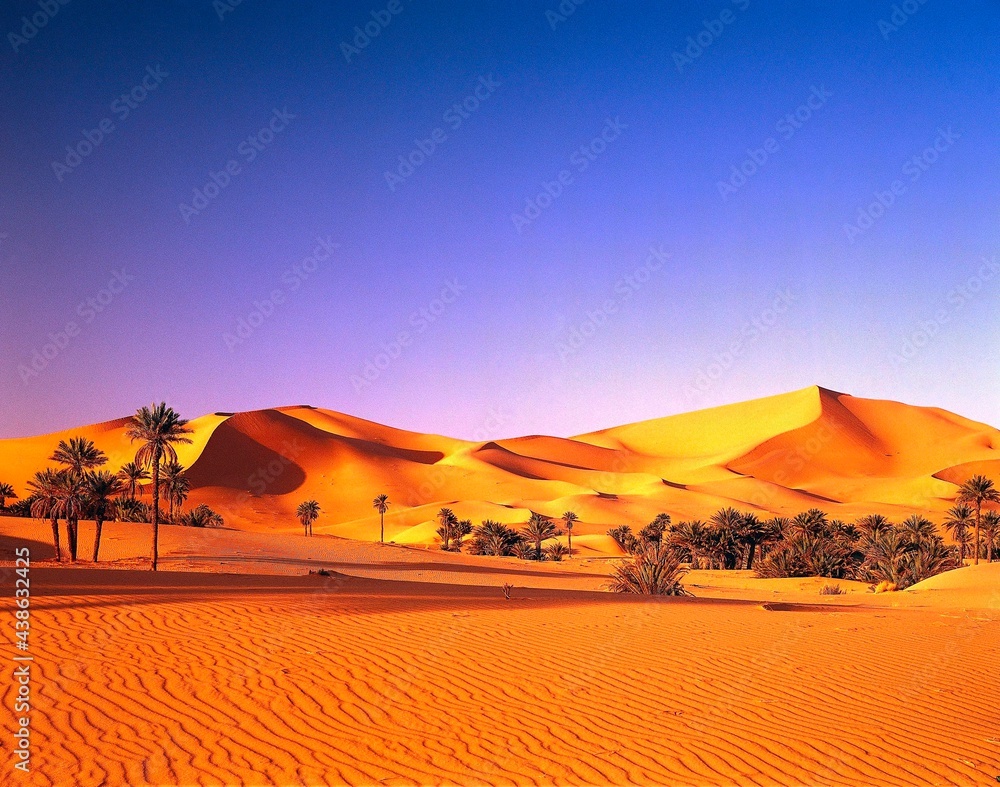 algeria-sahara-sand-dunes-date-palms-africa-north-africa-desert