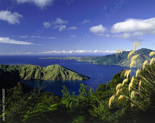 new zealand, south island, marlborough sounds, cape jackson, sea, bay, coast, coastal landscape, landscape, vegetation, water, plants, grasses, view, vastness,  photo