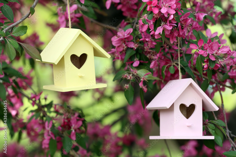 Wooden bird houses on blossoming tree outdoors