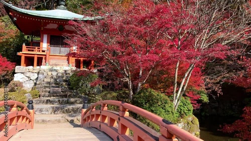 POINT OF VIEW POV Daigo Ji Temple in autumn time. Kyoto, Japan.