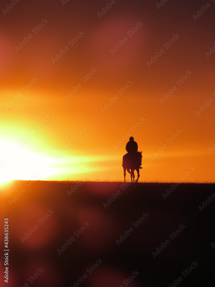 Rider on a horse in the sunset