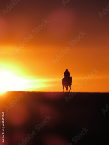 Rider on a horse in the sunset