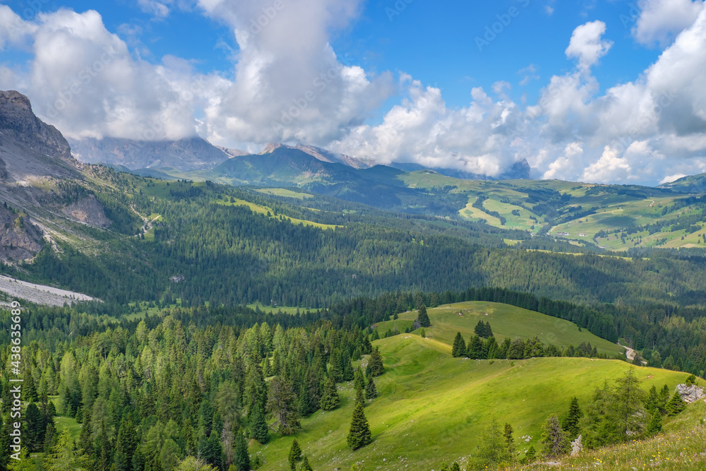 Fototapeta premium Beautiful view of a forest plateau in the Alps