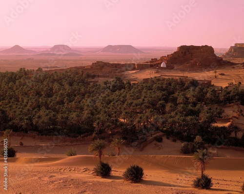 algeria, kasbah, ighzer oasis, sebkah, near timimoun, africa, north africa, oasis, kasba, landscape, nature, vegetation, barrenness, aridity, drought,  photo