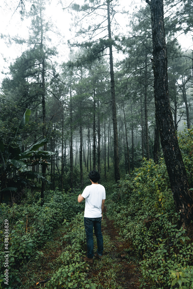 man walking in the forest in the rainy season man walking in the forest in the rainy season