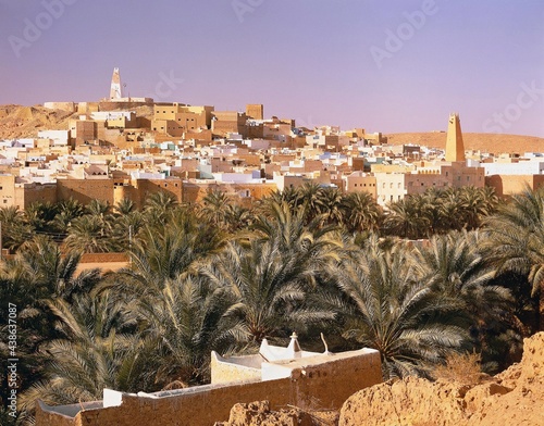 algeria, m'zab, bou noura, city view, valley, date palms, africa, north africa, town, view, sahara, m'zab valley, near ghardaia, dwellings, houses, desert, border, palms,  photo