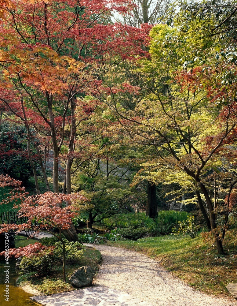 garden, japanese, horticulture, japanese garden, nature, vegetation, trees, plants, path, 