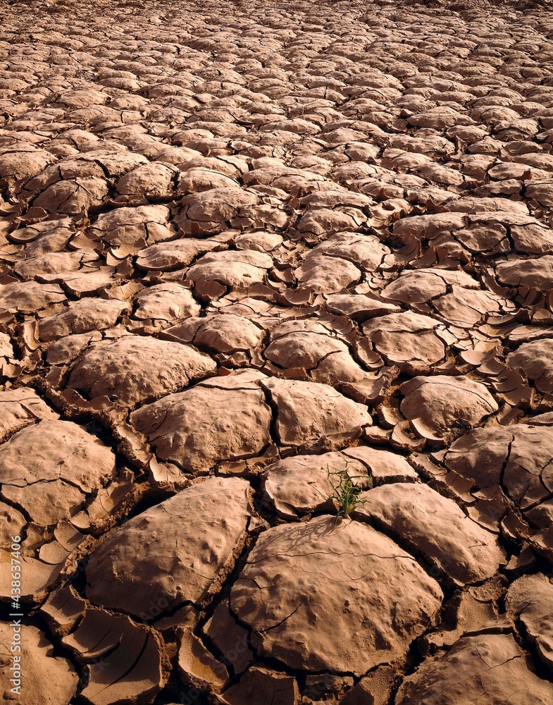 north africa, sahara, clay soil, parched, ripped, africa, drought, heat, dryness, soil, earth, loamy, dry, desert plant, lack of water, natural disaster, hostile to life, dry up, close-up, north africa, sahara, clay soil, parched, ripped, africa, drought, heat, dryness, soil, earth, loamy, dry, desert plant, lack of water, natural disaster, hostile to life, dry up, close-up,