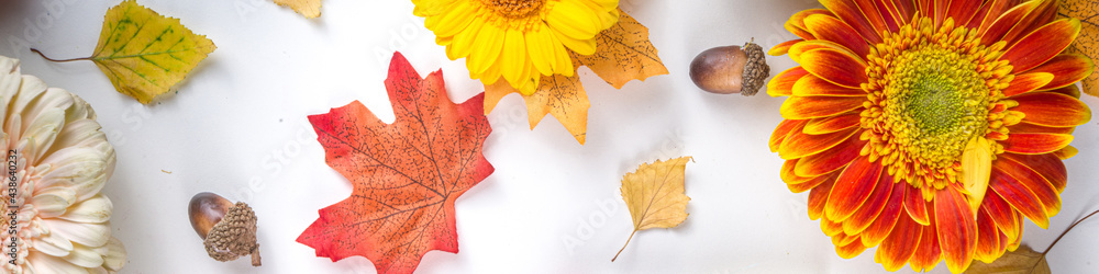 Autumn colors background, happy bright fall concept. Red paint brush with colorful autumn leaves and gerbera flowers, red yellow orange, creative flatlay greeting card on white background Autumn colors background, happy bright fall concept. Red paint brush with colorful autumn leaves and gerbera flowers, red yellow orange, creative flatlay greeting card on white background